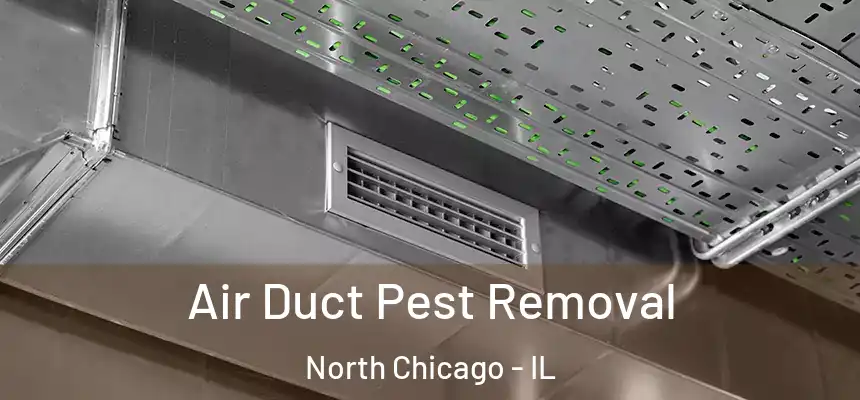 Air Duct Pest Removal North Chicago - IL