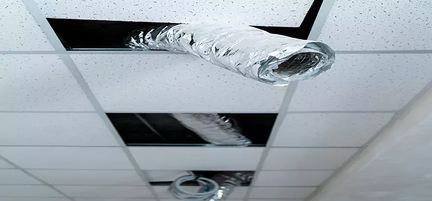 Affordable HVAC Sanitizing After Pest Removal in North Chicago