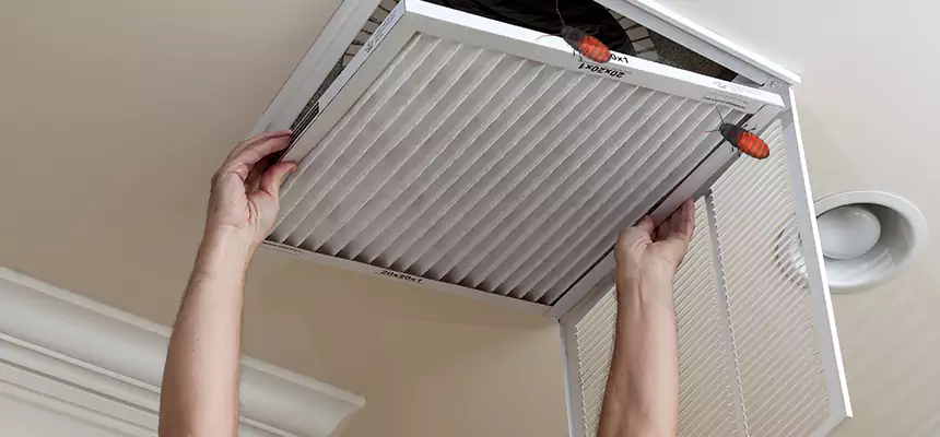 Our Insect Removal from Air Ducts Services in North Chicago, IL
