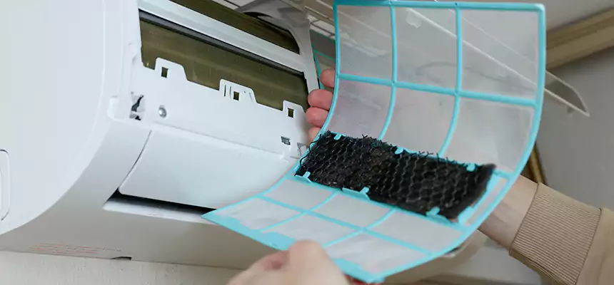 Gentle Ductwork Odor-Control Pet Dander Duct Cleaning in North Chicago, IL