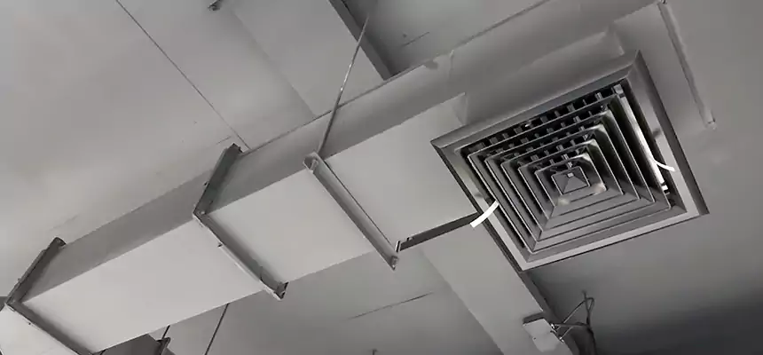 Our Rodent Droppings In Vents Services in North Chicago, IL