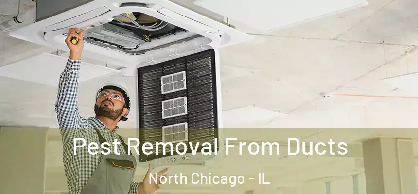  Pest Removal From Ducts North Chicago - IL