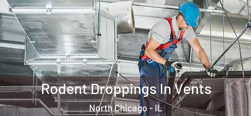  Rodent Droppings In Vents North Chicago - IL