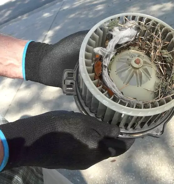 About Air Duct Mice Removal in North Chicago, IL