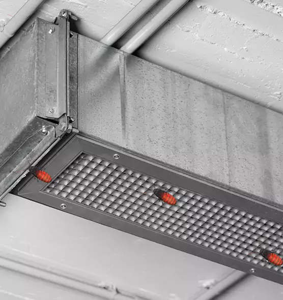 Affordable Insect Removal from Air Ducts in North Chicago, IL