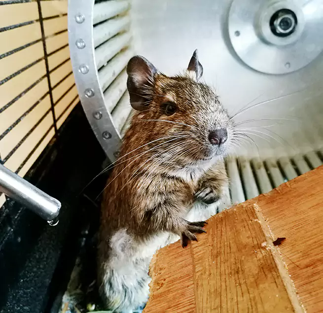 Why Homeowners & Businesses Trust Us North Chicago, IL