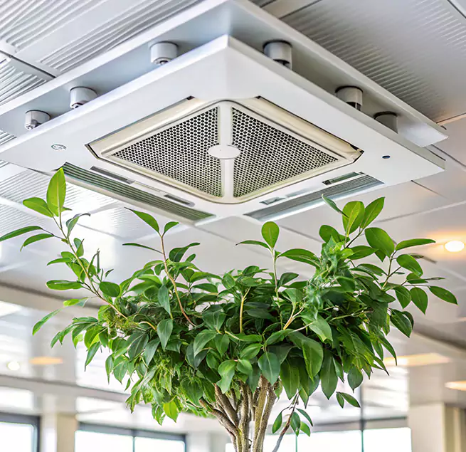 Why Homeowners & Businesses Trust Us in North Chicago, IL?